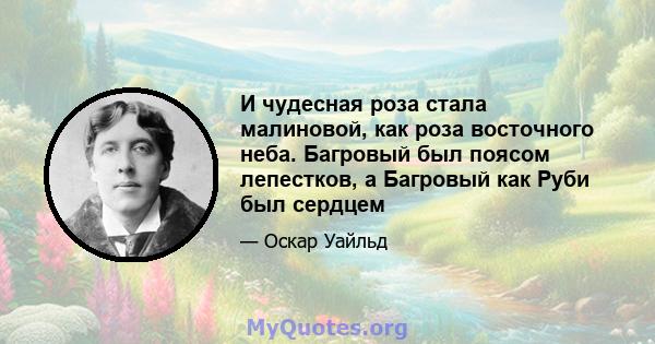 И чудесная роза стала малиновой, как роза восточного неба. Багровый был поясом лепестков, а Багровый как Руби был сердцем