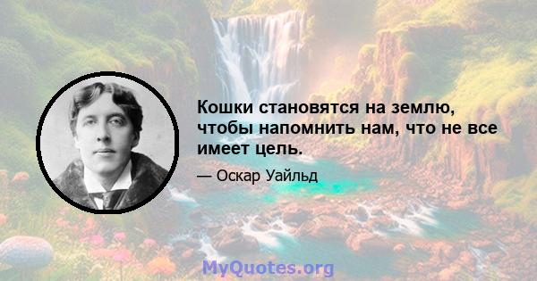 Кошки становятся на землю, чтобы напомнить нам, что не все имеет цель.