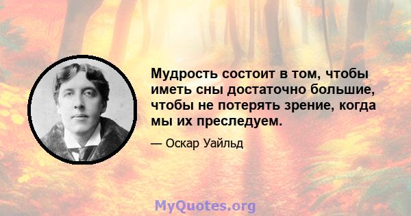 Мудрость состоит в том, чтобы иметь сны достаточно большие, чтобы не потерять зрение, когда мы их преследуем.