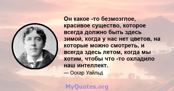 Он какое -то безмозглое, красивое существо, которое всегда должно быть здесь зимой, когда у нас нет цветов, на которые можно смотреть, и всегда здесь летом, когда мы хотим, чтобы что -то охладило наш интеллект.