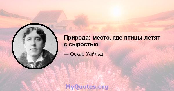 Природа: место, где птицы летят с сыростью