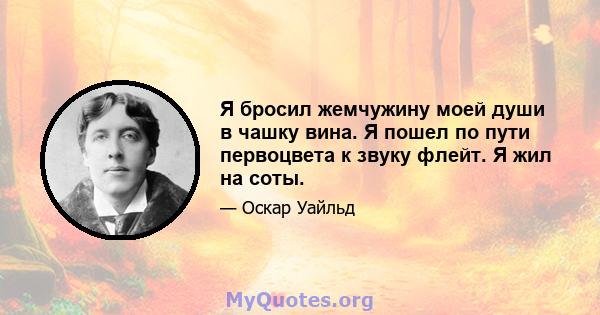 Я бросил жемчужину моей души в чашку вина. Я пошел по пути первоцвета к звуку флейт. Я жил на соты.