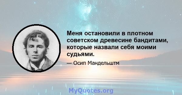 Меня остановили в плотном советском древесине бандитами, которые назвали себя моими судьями.