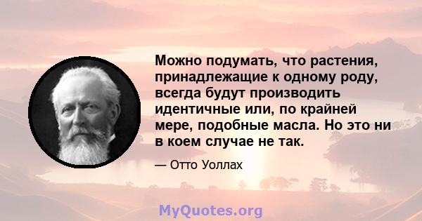 Можно подумать, что растения, принадлежащие к одному роду, всегда будут производить идентичные или, по крайней мере, подобные масла. Но это ни в коем случае не так.