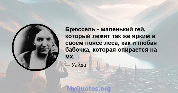 Брюссель - маленький гей, который лежит так же ярким в своем поясе леса, как и любая бабочка, которая опирается на мх.