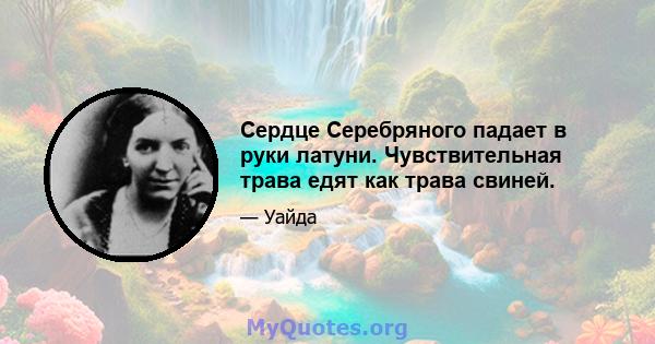 Сердце Серебряного падает в руки латуни. Чувствительная трава едят как трава свиней.