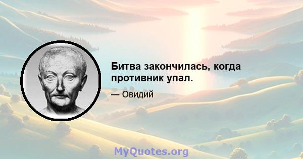 Битва закончилась, когда противник упал.