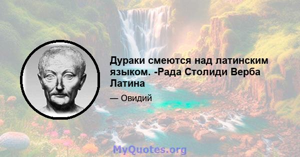 Дураки смеются над латинским языком. -Рада Столиди Верба Латина