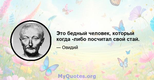 Это бедный человек, который когда -либо посчитал свой стай.