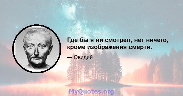 Где бы я ни смотрел, нет ничего, кроме изображения смерти.