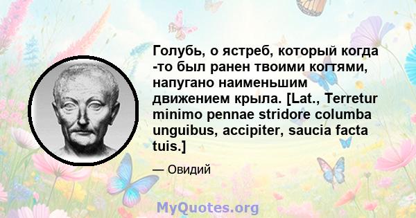 Голубь, о ястреб, который когда -то был ранен твоими когтями, напугано наименьшим движением крыла. [Lat., Terretur minimo pennae stridore columba unguibus, accipiter, saucia facta tuis.]