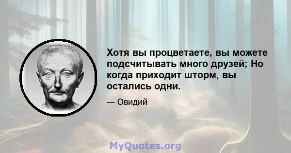 Хотя вы процветаете, вы можете подсчитывать много друзей; Но когда приходит шторм, вы остались одни.