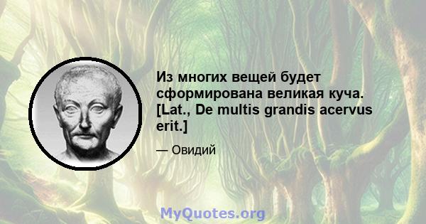 Из многих вещей будет сформирована великая куча. [Lat., De multis grandis acervus erit.]