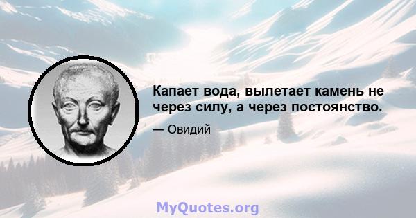 Капает вода, вылетает камень не через силу, а через постоянство.