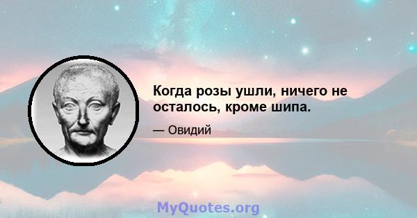 Когда розы ушли, ничего не осталось, кроме шипа.