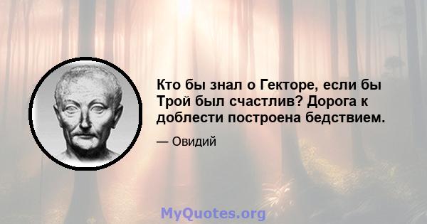 Кто бы знал о Гекторе, если бы Трой был счастлив? Дорога к доблести построена бедствием.