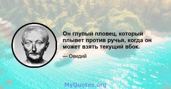 Он глупый пловец, который плывет против ручья, когда он может взять текущий вбок.