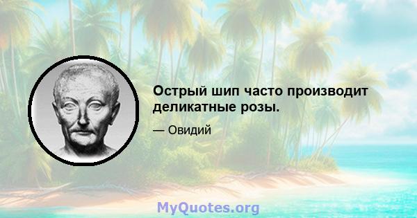 Острый шип часто производит деликатные розы.