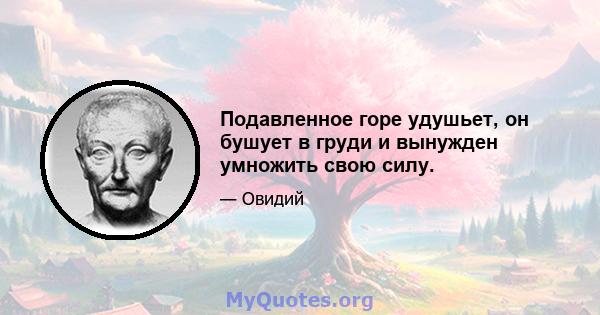 Подавленное горе удушьет, он бушует в груди и вынужден умножить свою силу.