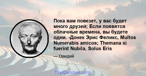 Пока вам повезет, у вас будет много друзей; Если появятся облачные времена, вы будете одни. -Донек Эрис Феликс, Multos Numerabis amicos; Themana si fuerint Nubila, Solus Eris