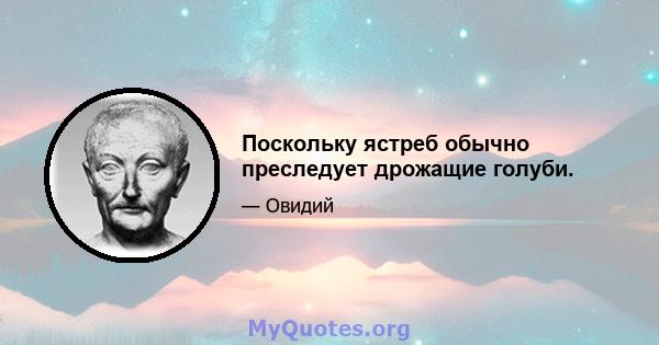 Поскольку ястреб обычно преследует дрожащие голуби.