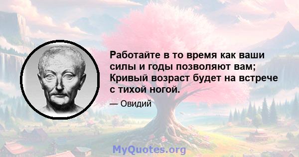 Работайте в то время как ваши силы и годы позволяют вам; Кривый возраст будет на встрече с тихой ногой.