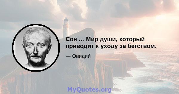 Сон ... Мир души, который приводит к уходу за бегством.