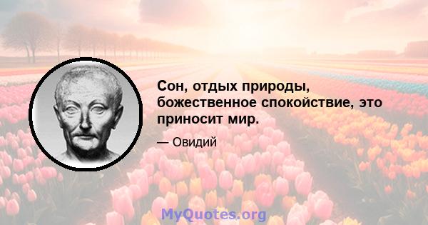 Сон, отдых природы, божественное спокойствие, это приносит мир.