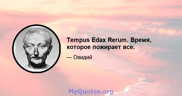 Tempus Edax Rerum. Время, которое пожирает все.