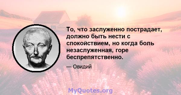 То, что заслуженно пострадает, должно быть нести с спокойствием, но когда боль незаслуженная, горе беспрепятственно.