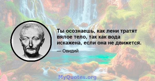 Ты осознаешь, как лени тратят вялое тело, так как вода искажена, если она не движется.