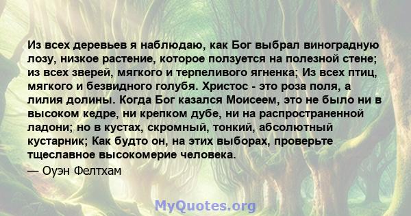 Из всех деревьев я наблюдаю, как Бог выбрал виноградную лозу, низкое растение, которое ползуется на полезной стене; из всех зверей, мягкого и терпеливого ягненка; Из всех птиц, мягкого и безвидного голубя. Христос - это 