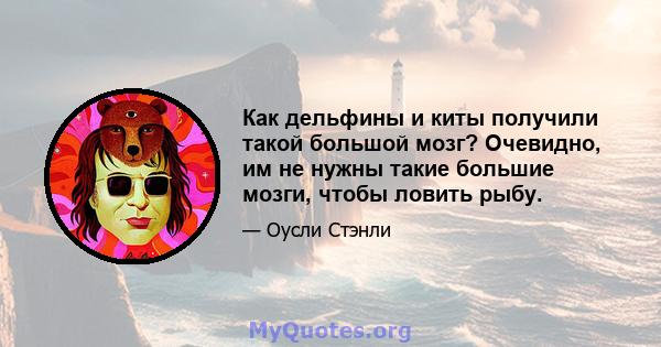 Как дельфины и киты получили такой большой мозг? Очевидно, им не нужны такие большие мозги, чтобы ловить рыбу.