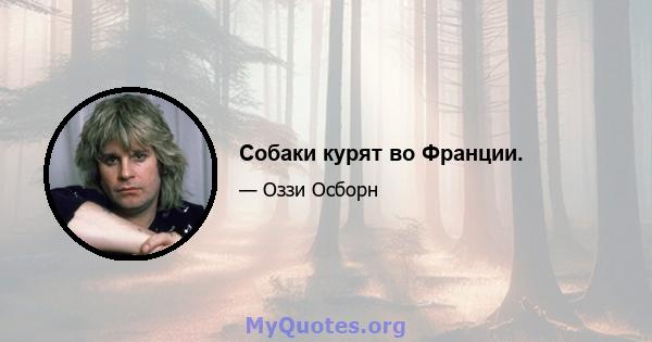 Собаки курят во Франции.