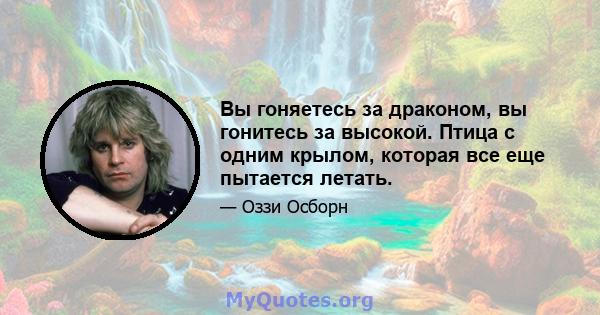 Вы гоняетесь за драконом, вы гонитесь за высокой. Птица с одним крылом, которая все еще пытается летать.