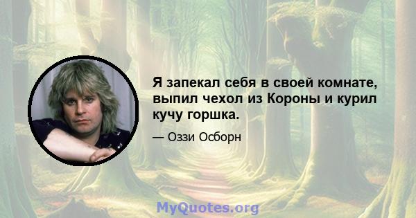 Я запекал себя в своей комнате, выпил чехол из Короны и курил кучу горшка.