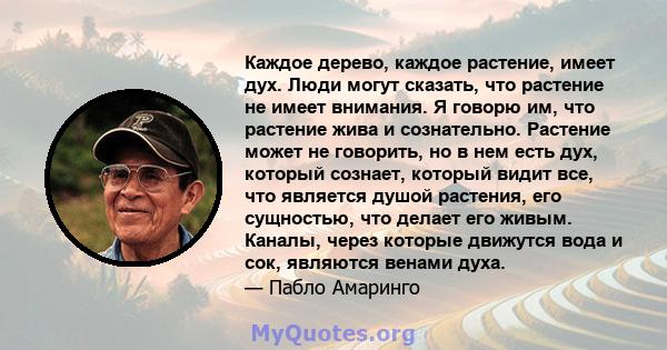 Каждое дерево, каждое растение, имеет дух. Люди могут сказать, что растение не имеет внимания. Я говорю им, что растение жива и сознательно. Растение может не говорить, но в нем есть дух, который сознает, который видит