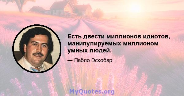 Есть двести миллионов идиотов, манипулируемых миллионом умных людей.