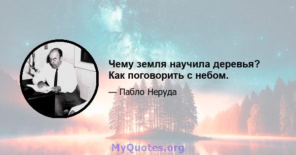 Чему земля научила деревья? Как поговорить с небом.