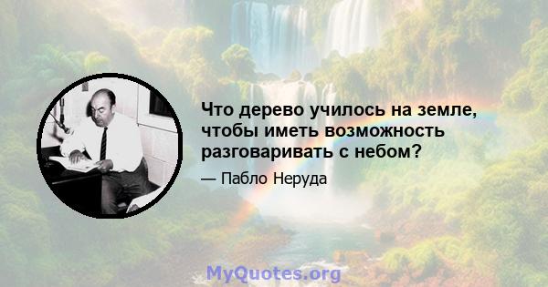 Что дерево училось на земле, чтобы иметь возможность разговаривать с небом?