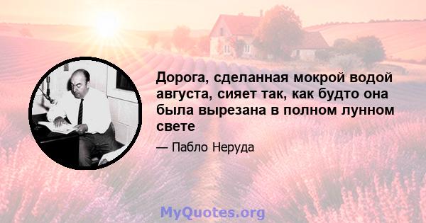 Дорога, сделанная мокрой водой августа, сияет так, как будто она была вырезана в полном лунном свете