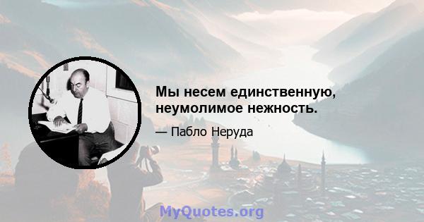 Мы несем единственную, неумолимое нежность.