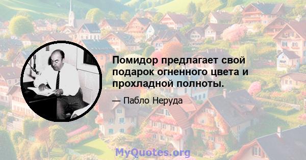 Помидор предлагает свой подарок огненного цвета и прохладной полноты.