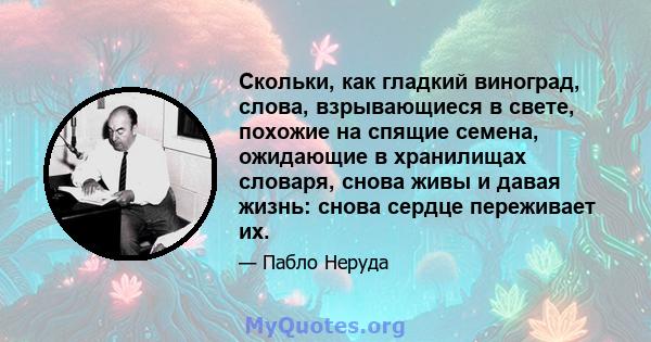 Скольки, как гладкий виноград, слова, взрывающиеся в свете, похожие на спящие семена, ожидающие в хранилищах словаря, снова живы и давая жизнь: снова сердце переживает их.