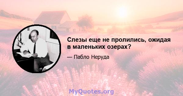 Слезы еще не пролились, ожидая в маленьких озерах?