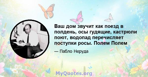 Ваш дом звучит как поезд в полдень, осы гудящие, кастрюли поют, водопад перечисляет поступки росы. Полем Полем