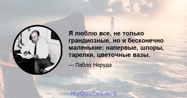 Я люблю все, не только грандиозные, но и бесконечно маленькие: напервые, шпоры, тарелки, цветочные вазы.