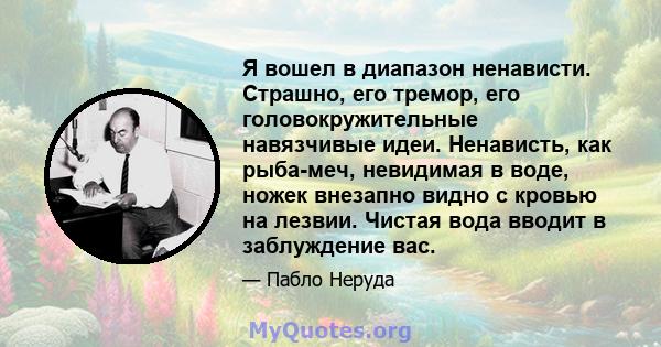 Я вошел в диапазон ненависти. Страшно, его тремор, его головокружительные навязчивые идеи. Ненависть, как рыба-меч, невидимая в воде, ножек внезапно видно с кровью на лезвии. Чистая вода вводит в заблуждение вас.