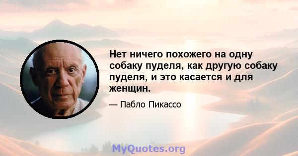 Нет ничего похожего на одну собаку пуделя, как другую собаку пуделя, и это касается и для женщин.