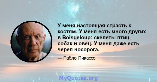 У меня настоящая страсть к костям. У меня есть много других в Boisgeloup: скелеты птиц, собак и овец. У меня даже есть череп носорога.